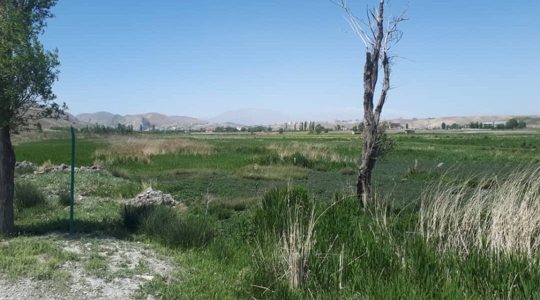 زمین مجوز آب معدنی فیروزکوه