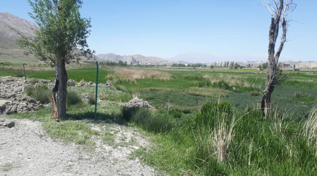 زمین مجوز آب معدنی فیروزکوه