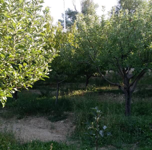 ویلا باغ کلفور فیروزکوه