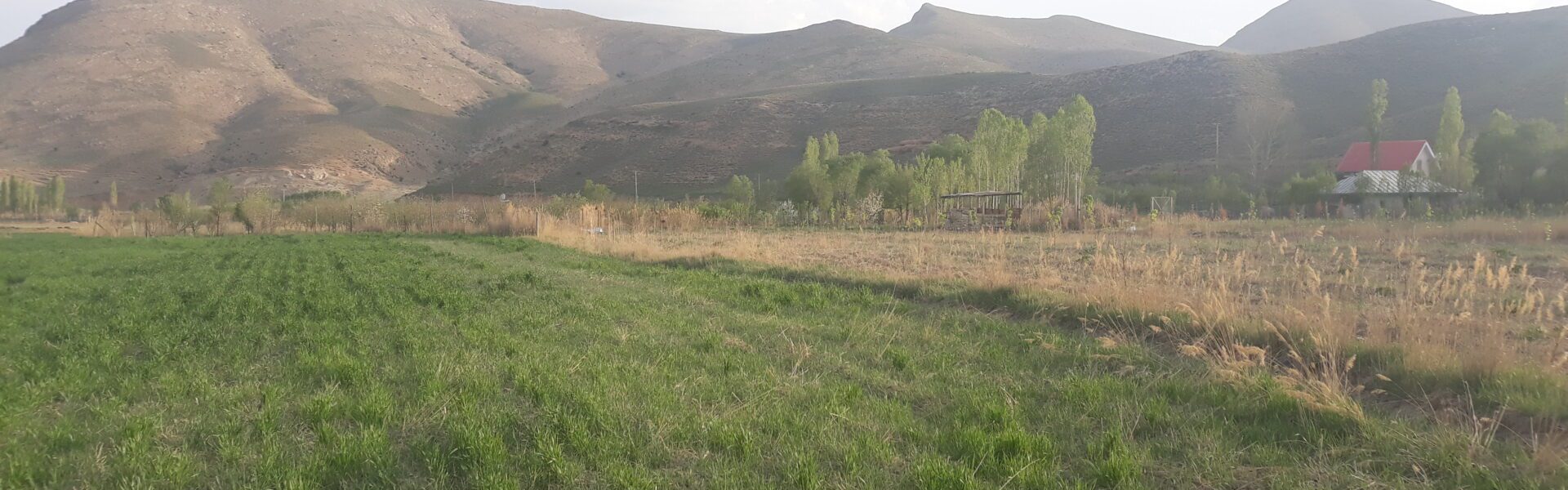 زمین روستای طارس فیروزکوه