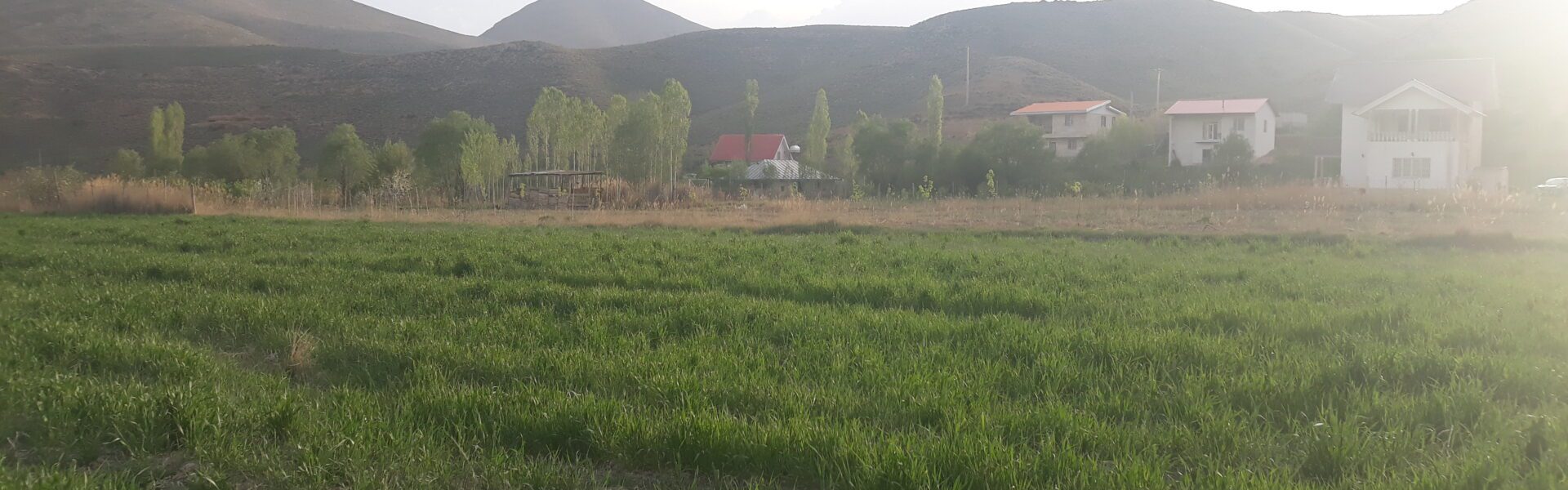زمین روستای طارس فیروزکوه
