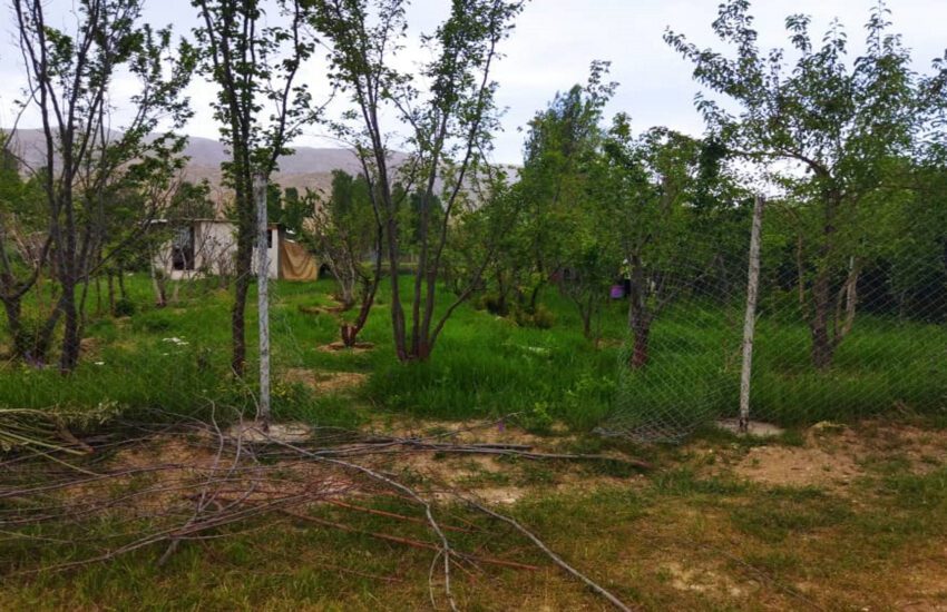 باغ بادرود فیروزکوه