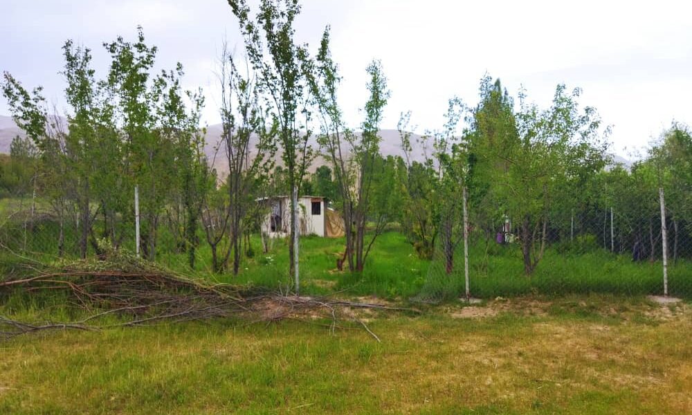 باغ بادرود فیروزکوه
