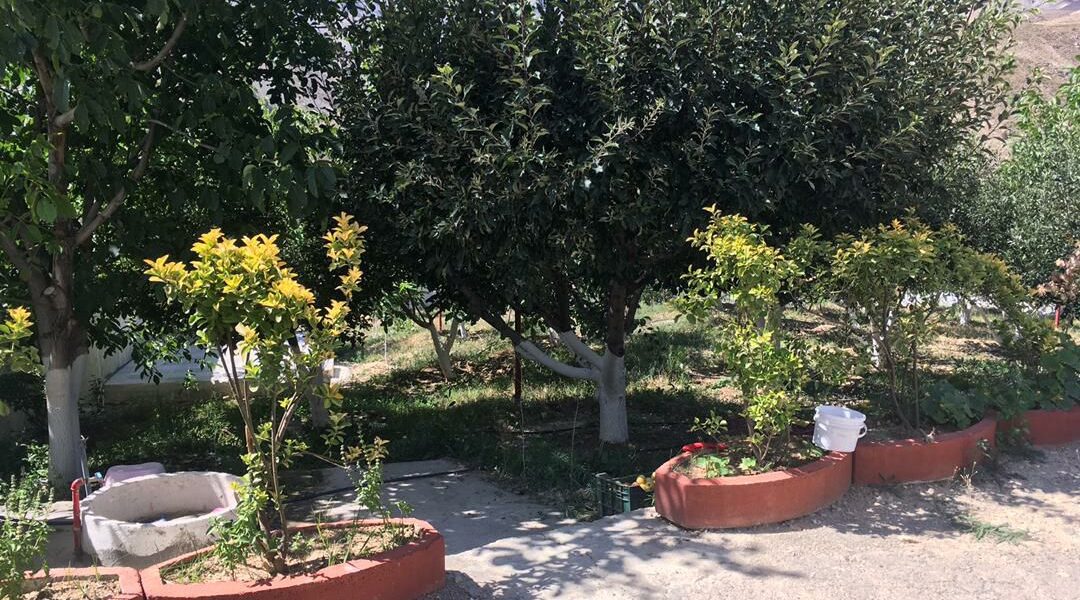 باغ آسور فیروزکوه
