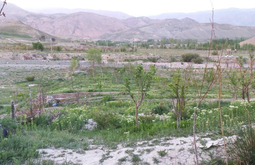 باغ وشتان فیروزکوه