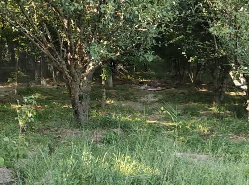 فروش باغ هرانده فیروزکوه