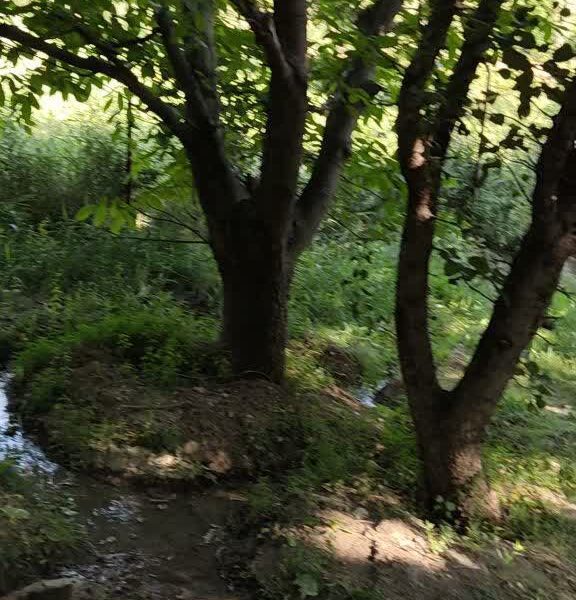 فروش باغ هرانده فیروزکوه